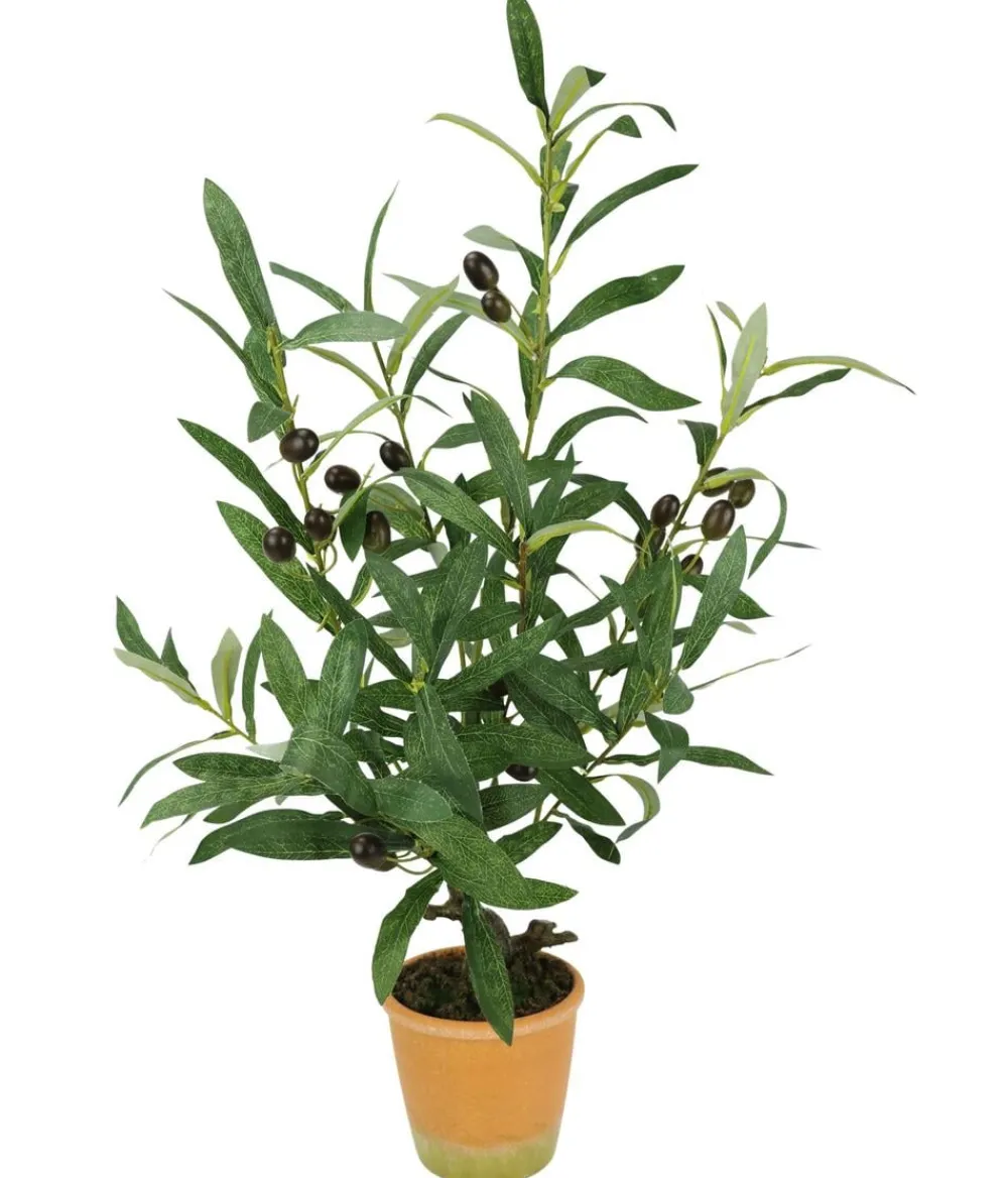 I.GE.A Kunstpflanzen > . Kunstpflanze Olive mit schwarzen Oliven, im Topf, ca. H57 cm