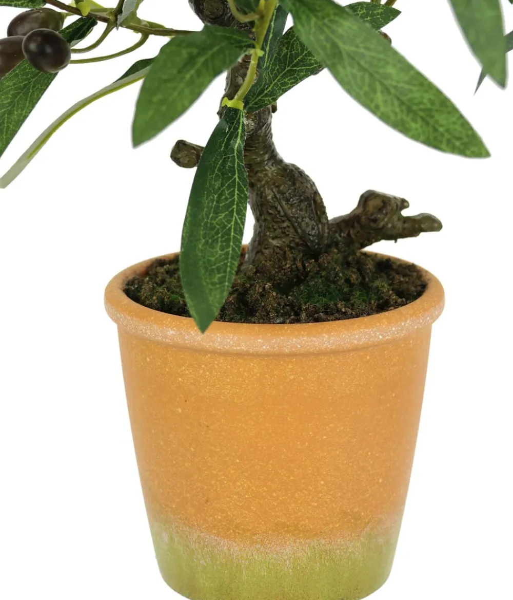 I.GE.A Kunstpflanzen > . Kunstpflanze Olive mit schwarzen Oliven, im Topf, ca. H57 cm