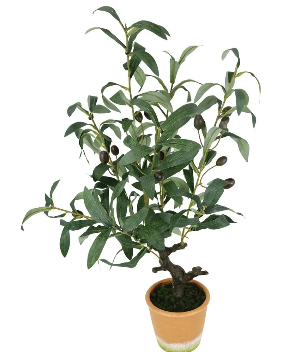 I.GE.A Kunstpflanzen > . Kunstpflanze Olive mit schwarzen Oliven, im Topf, ca. H57 cm