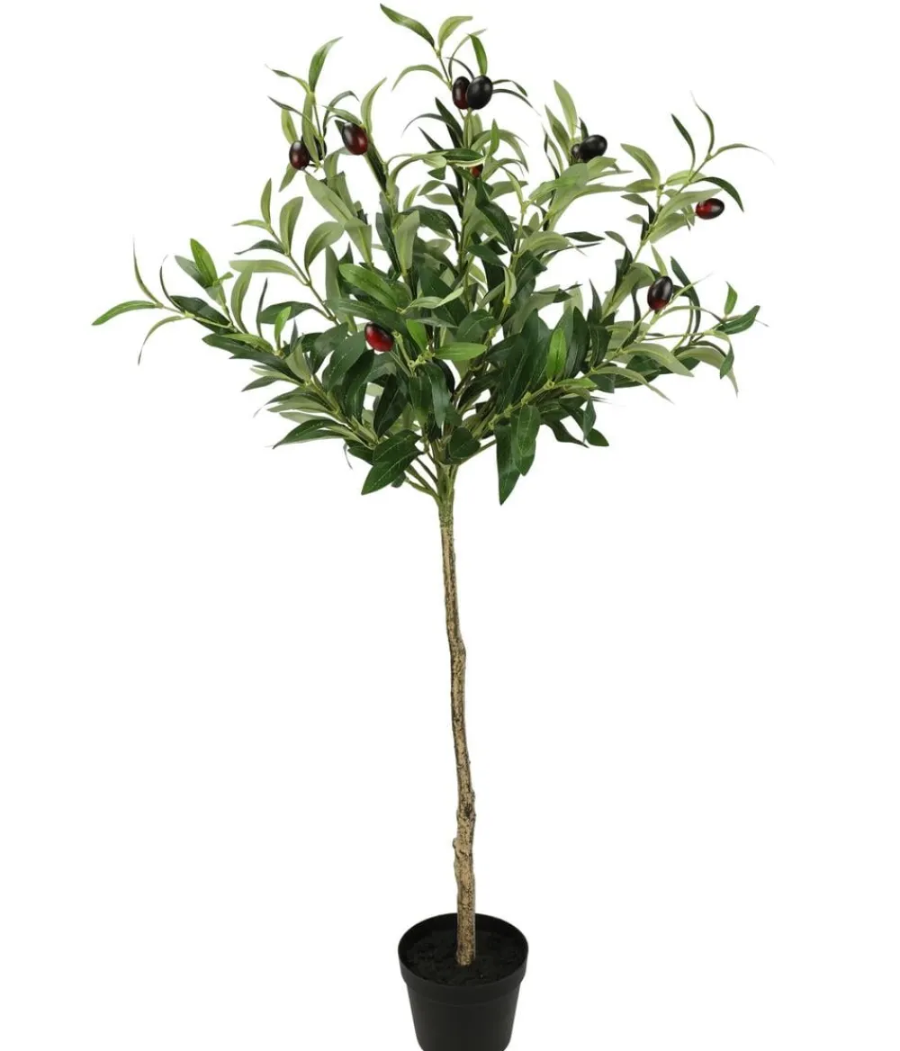 I.GE.A Kunstpflanzen - . Kunstpflanze Olivenbaum mit en Oliven, im Topf, ca. H80 cm