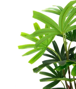 I.GE.A Kunstpflanzen - . Kunstpflanze Palme Rhapis im Topf, ca. H88 cm