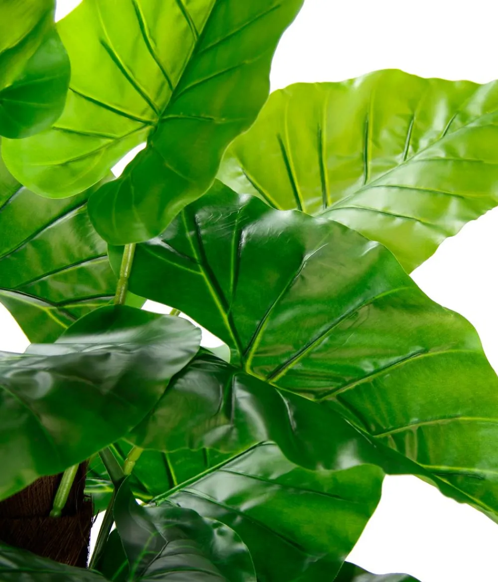 I.GE.A . Kunstpflanze Philodendron im Kunststoff-Topf, ca. H85 cm Grün Sale
