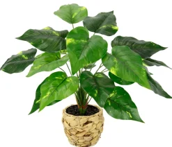 I.GE.A . Kunstpflanze Pothos im Wasserhyazinthentopf, ca. H40 cm Grün Best
