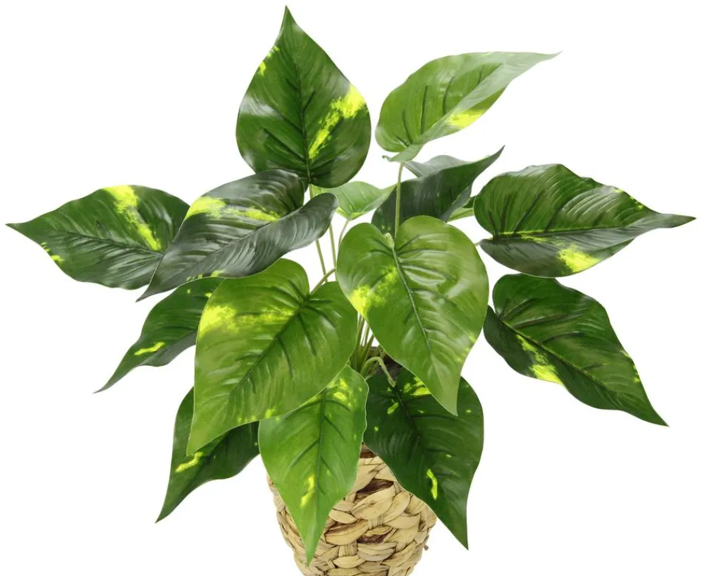 I.GE.A . Kunstpflanze Pothos im Wasserhyazinthentopf, ca. H40 cm Grün Best