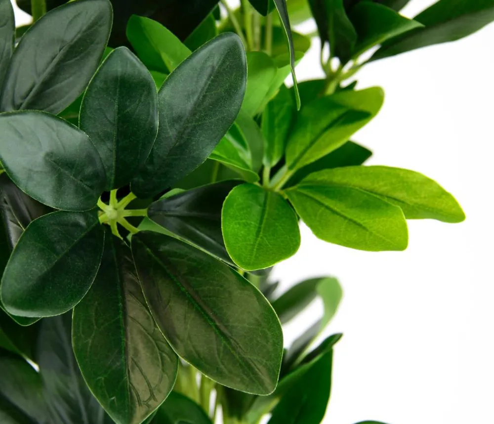 I.GE.A . Kunstpflanze Schefflera im Topf, ca. H83 cm Hot