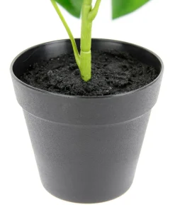 I.GE.A Kunstpflanzen > Kunstpflanze Schefflera im Wasserhyazinthentopf, ca. H48 cm