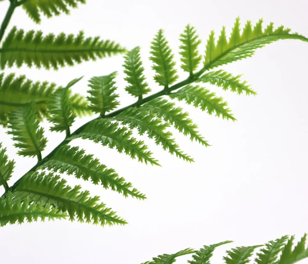 I.GE.A . Kunstpflanze Waldfarn im Topf, ca. H90 cm Discount