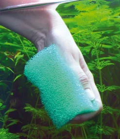 JBL Reinigungsschwamm Spongi für Aquarien Sale