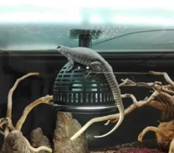 JBL Terrarientechnik > TempProtect II light M