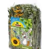 JR FARM Nahrungsergänzung Kleintiere > Ergänzungsfutter Kornfeld, 100g