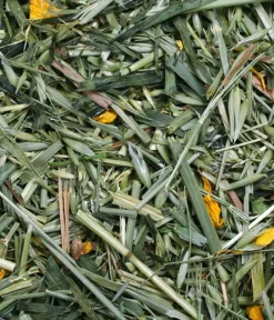 JR FARM Nahrungsergänzung Kleintiere > Ergänzungsfutter Kornfeld, 100g