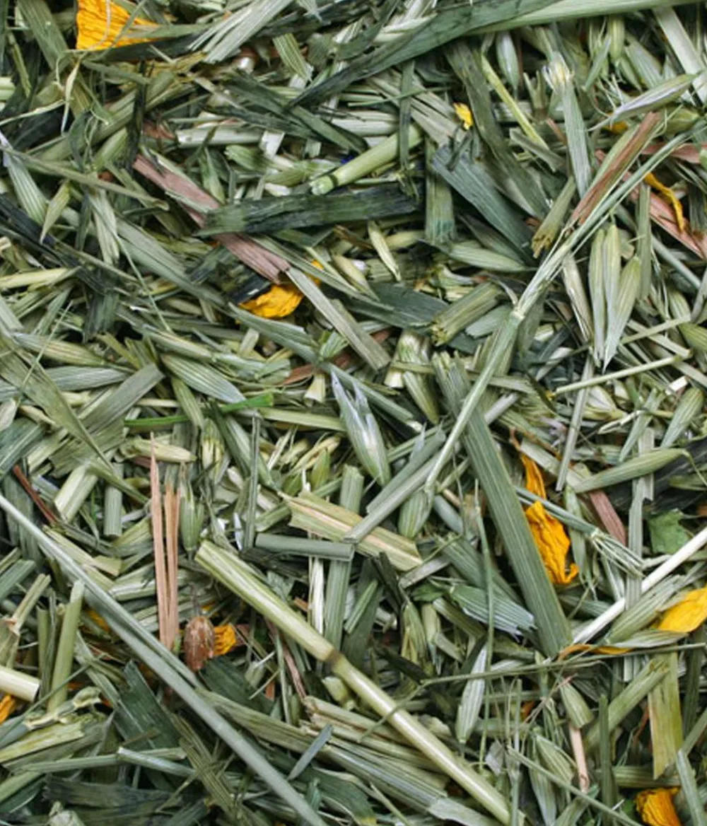JR FARM Nahrungsergänzung Kleintiere > Ergänzungsfutter Kornfeld, 100g