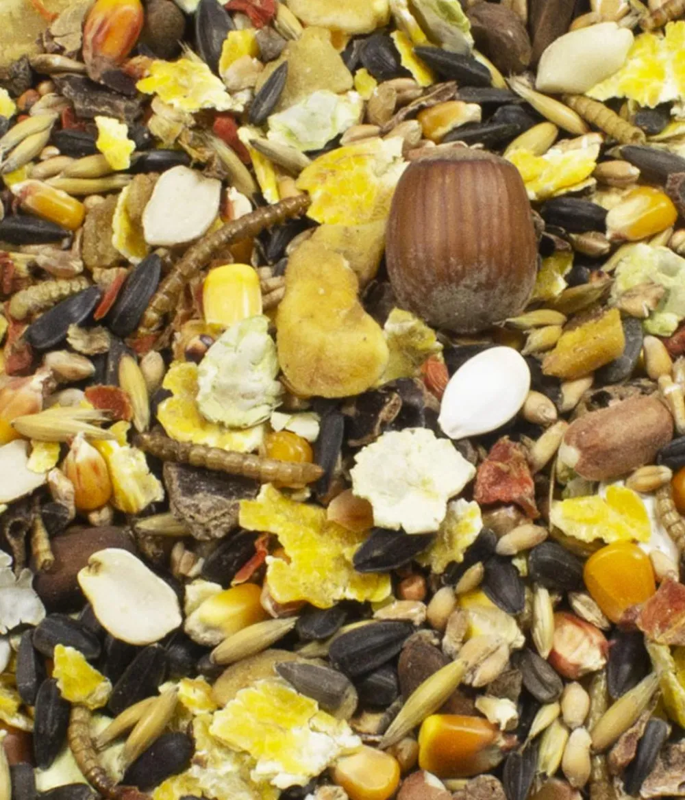 JR FARM Kleintierfutter > Nagerfutter Daily Food Streifenhörnchen-Schmaus, 600 g