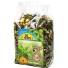 JR FARM Nagerfutter Degu-Spezial, 500 g Sale