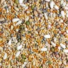JR FARM Vogelfutter & Snacks > Vogelfutter fresh Keimfutter für Großsittiche, 1 kg
