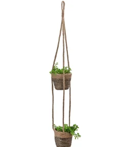 Dehner Juteampel-Duo mit Kanonierblume - Pilea depressa Outlet