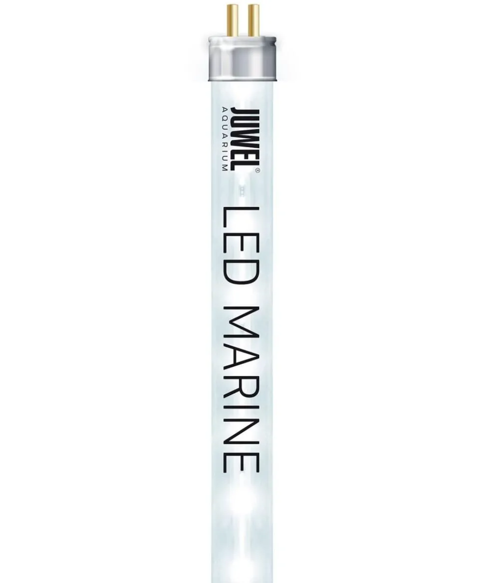 JUWEL® AQUARIUM Aquariumbeleuchtung LED Marine Clearance