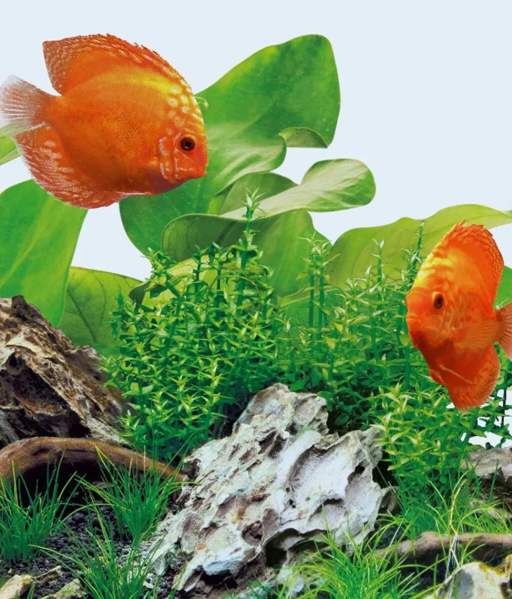 JUWEL® AQUARIUM Beleuchtung - Aquariumbeleuchtung Leuchte LED Day