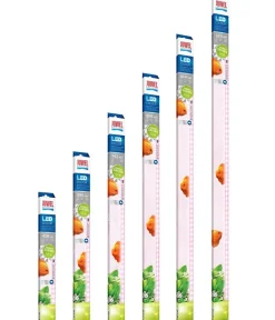 JUWEL® AQUARIUM Aquariumbeleuchtung LED Colour Sale