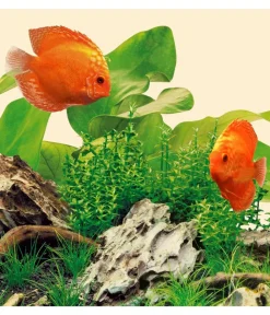 JUWEL® AQUARIUM Beleuchtung - Aquariumbeleuchtung Leuchte LED Nature