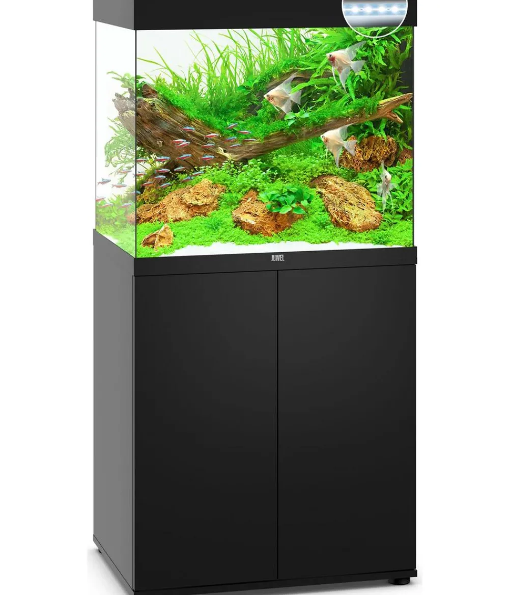 JUWEL® AQUARIUM Kombination Lido 200 LED Schwarz Online