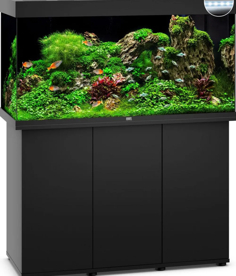 JUWEL® AQUARIUM Kombination Rio 350 LED Schwarz Online