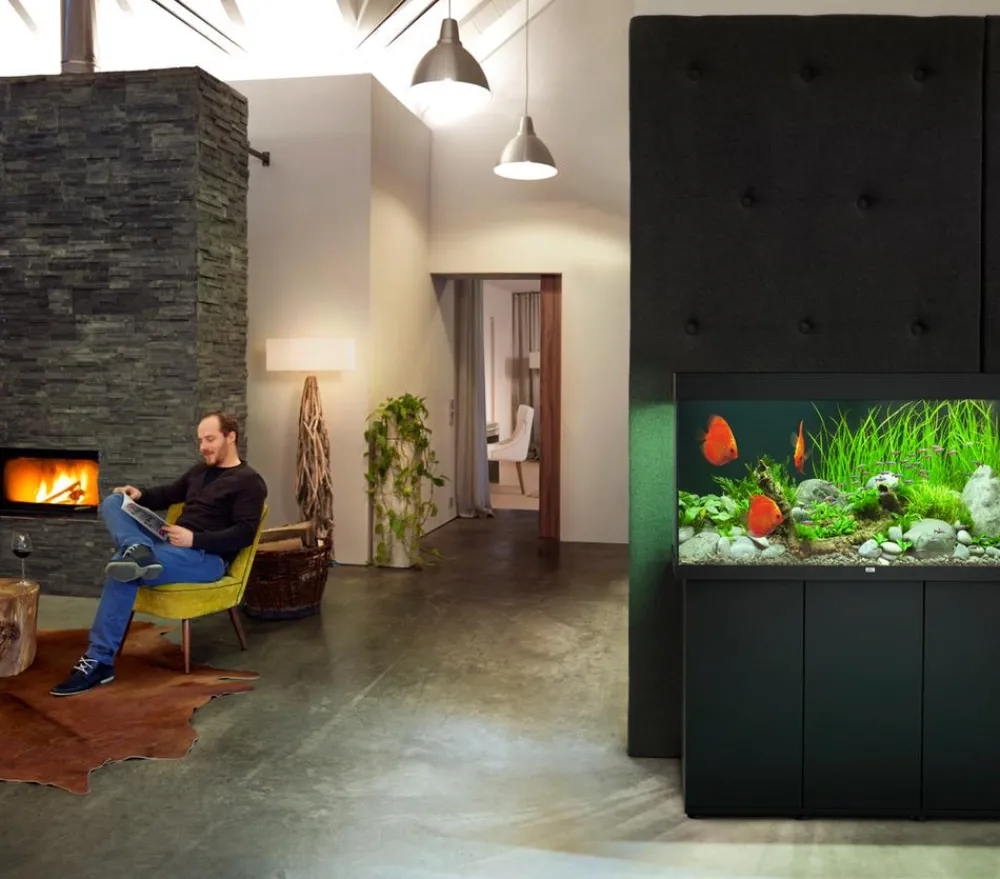 JUWEL® AQUARIUM Kombination Rio 350 LED Schwarz Online
