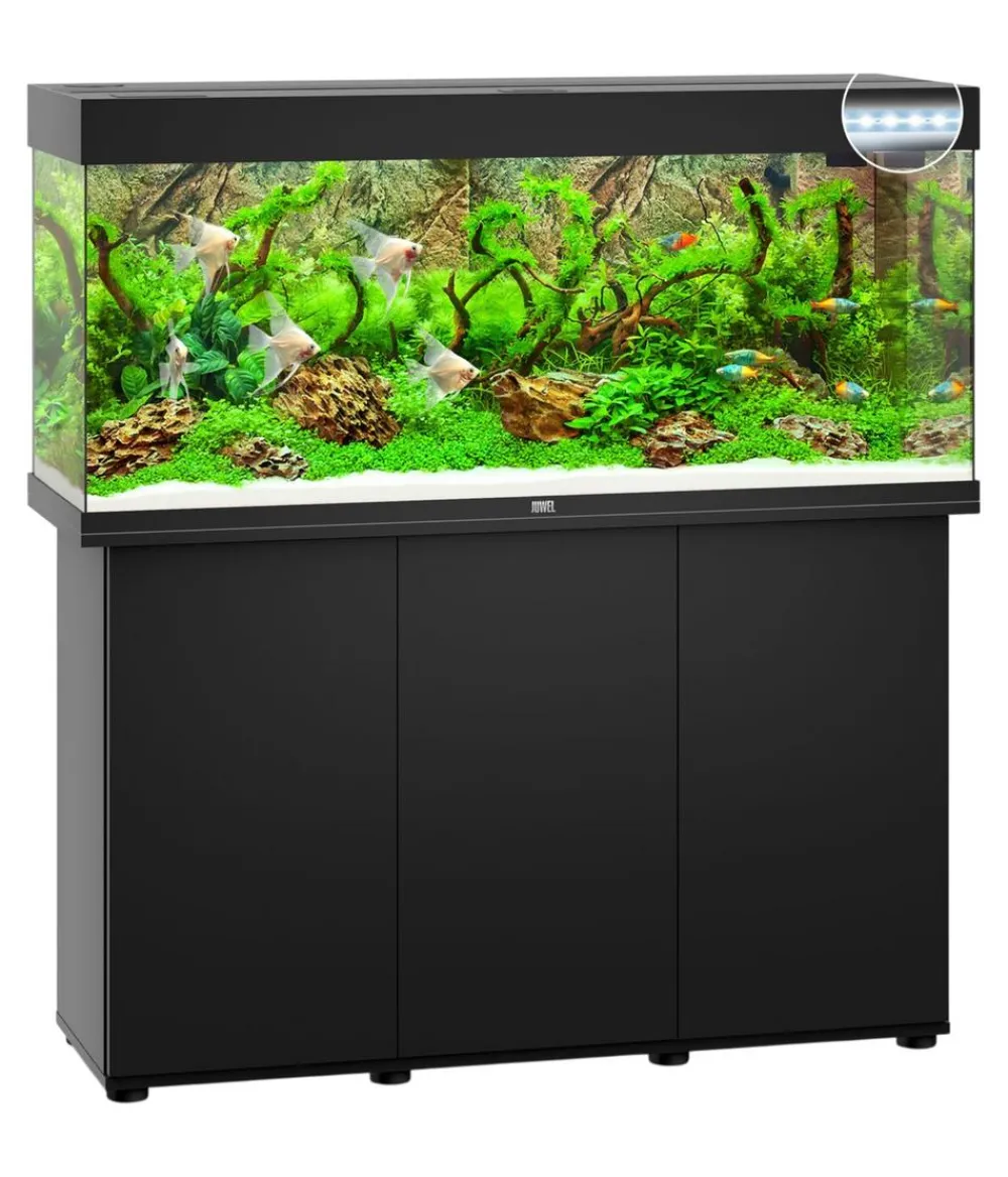 JUWEL® AQUARIUM Kombination Rio 240 LED, ca. B121/H128/T41 cm, 240 l Schwarz Sale