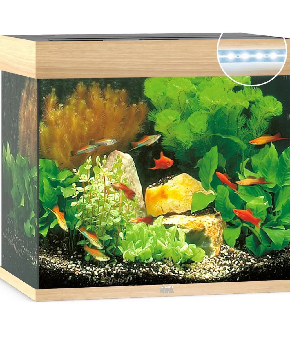JUWEL® AQUARIUM Einzel Aquarien > Lido 120 LED