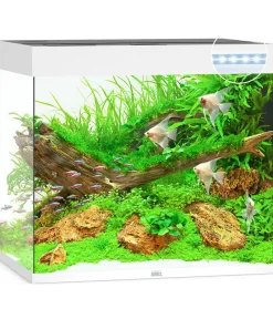 JUWEL® AQUARIUM Einzel Aquarien - Lido 200 LED Weiß
