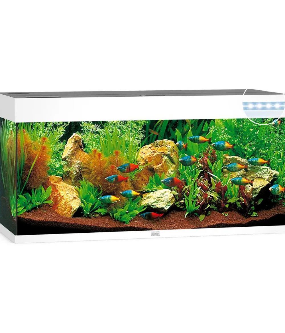 JUWEL® AQUARIUM Einzel Aquarien > Rio 180 LED
