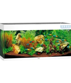 JUWEL® AQUARIUM Einzel Aquarien > Rio 240 LED