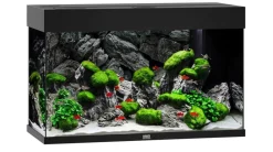 JUWEL® AQUARIUM Rio 125 LED Schwarz Sale