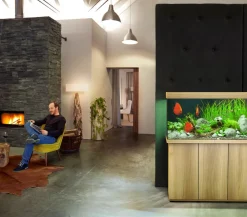 JUWEL® AQUARIUM Einzel Aquarien > Rio 350 LED