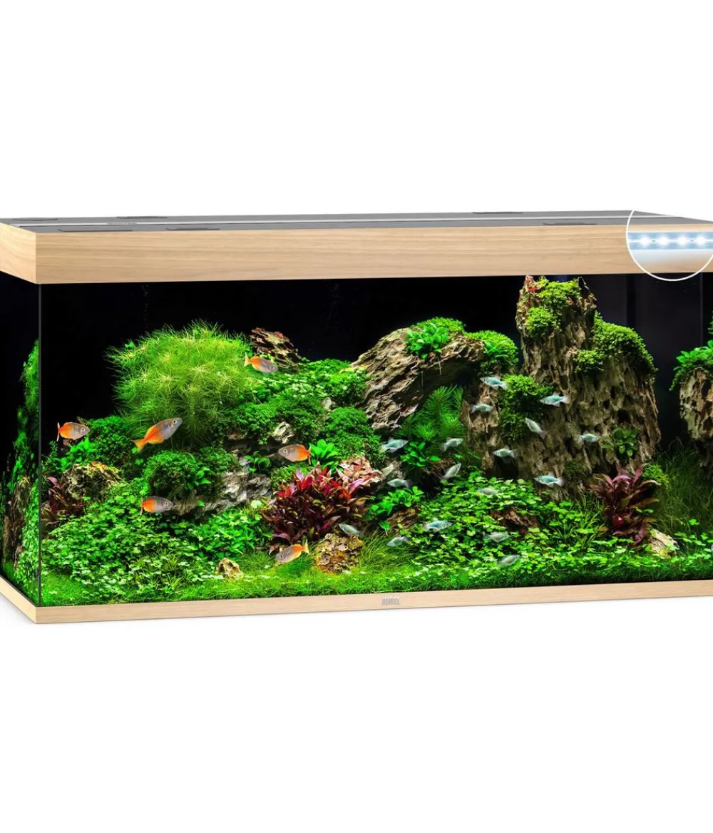 JUWEL® AQUARIUM Einzel Aquarien > Rio 350 LED