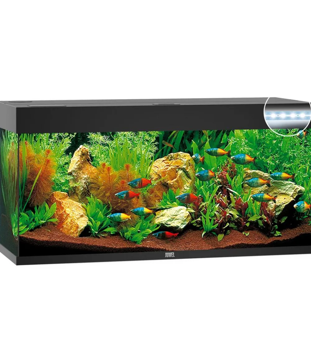 JUWEL® AQUARIUM Rio 240 LED Schwarz Clearance