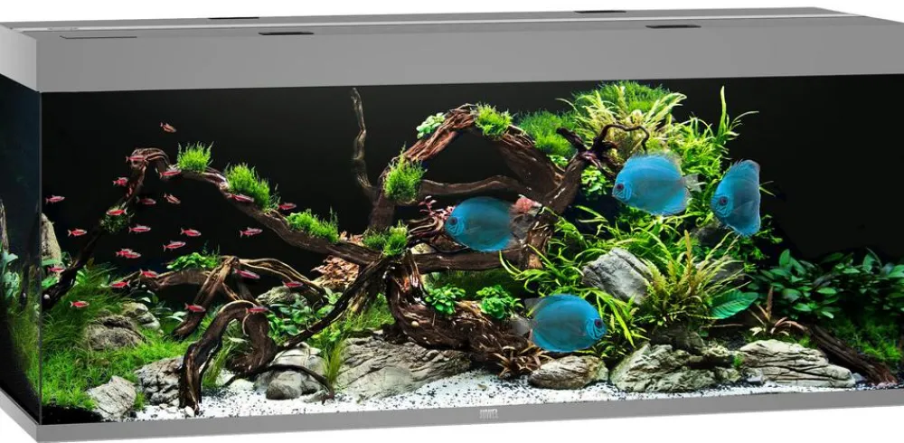 JUWEL® AQUARIUM Einzel Aquarien - Rio 450 LED Grau
