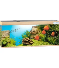 JUWEL® AQUARIUM Einzel Aquarien - Rio 450 LED Hellbraun