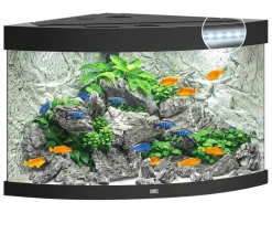 JUWEL® AQUARIUM Einzel Aquarien > Trigon 190 LED