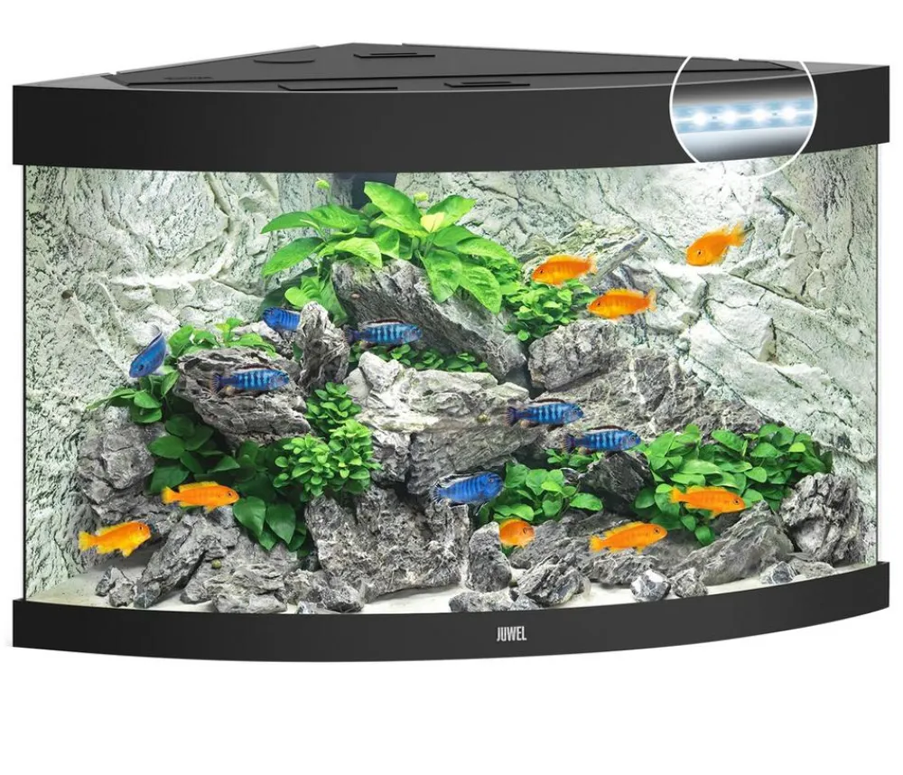 JUWEL® AQUARIUM Einzel Aquarien > Trigon 190 LED
