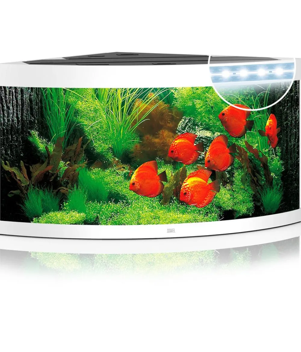 JUWEL® AQUARIUM Einzel Aquarien > Trigon 350 LED