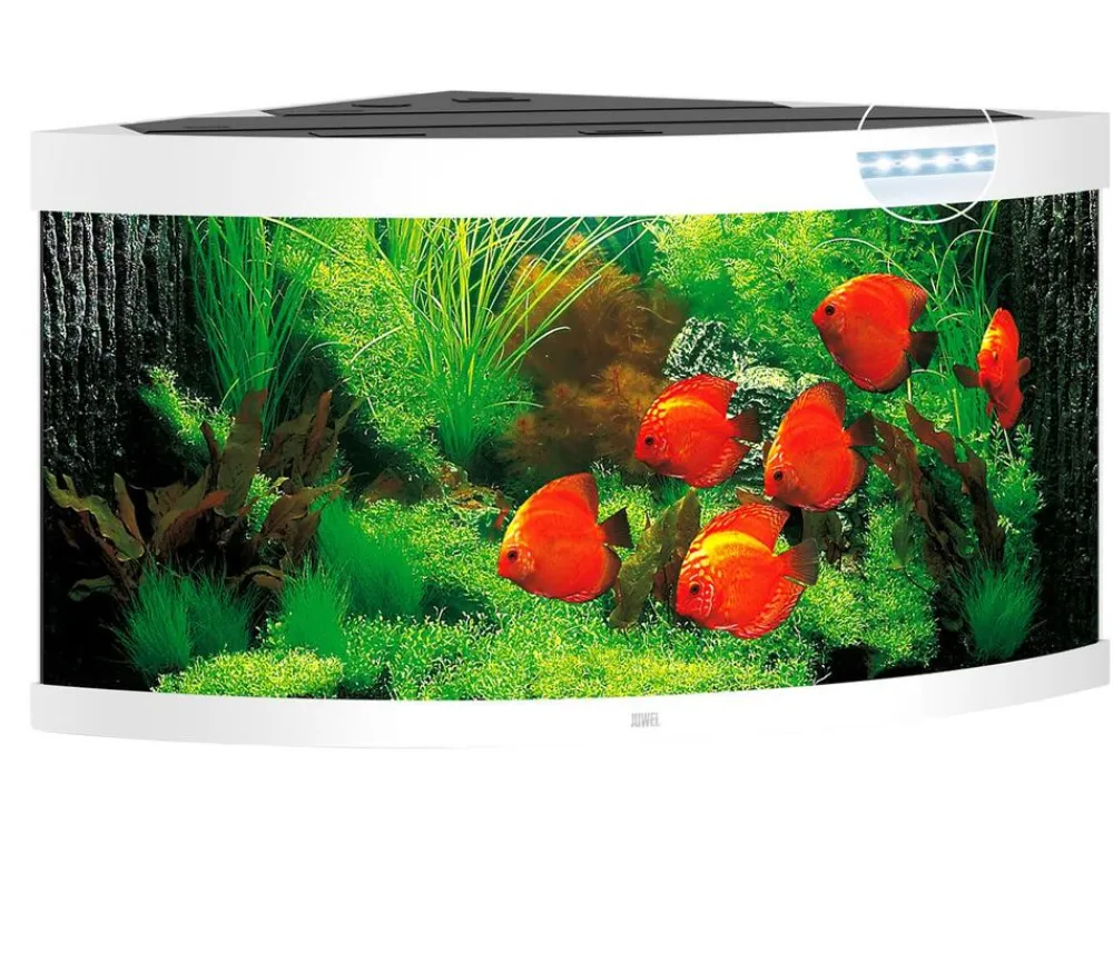JUWEL® AQUARIUM Einzel Aquarien > Trigon 350 LED