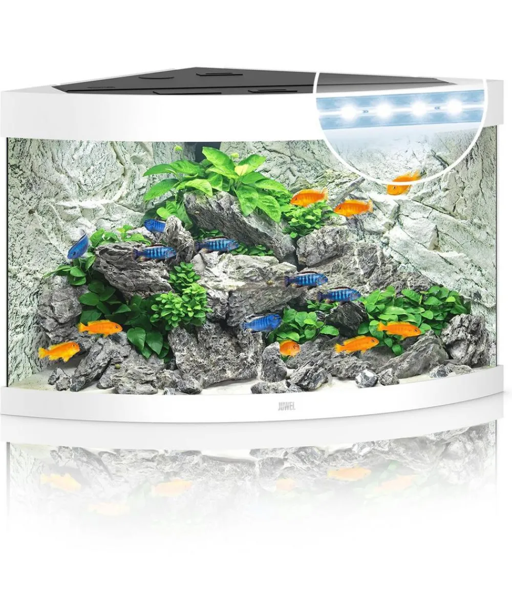 JUWEL® AQUARIUM Einzel Aquarien - Trigon 190 LED Weiß