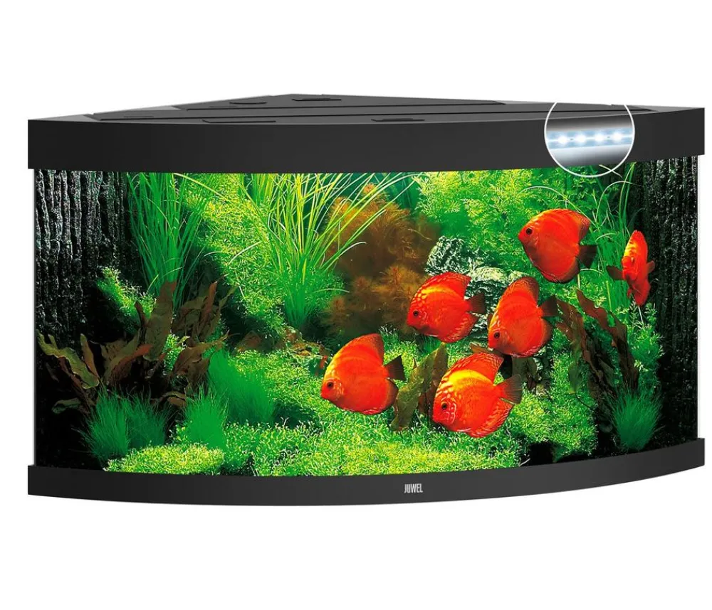 JUWEL® AQUARIUM Trigon 350 LED Schwarz