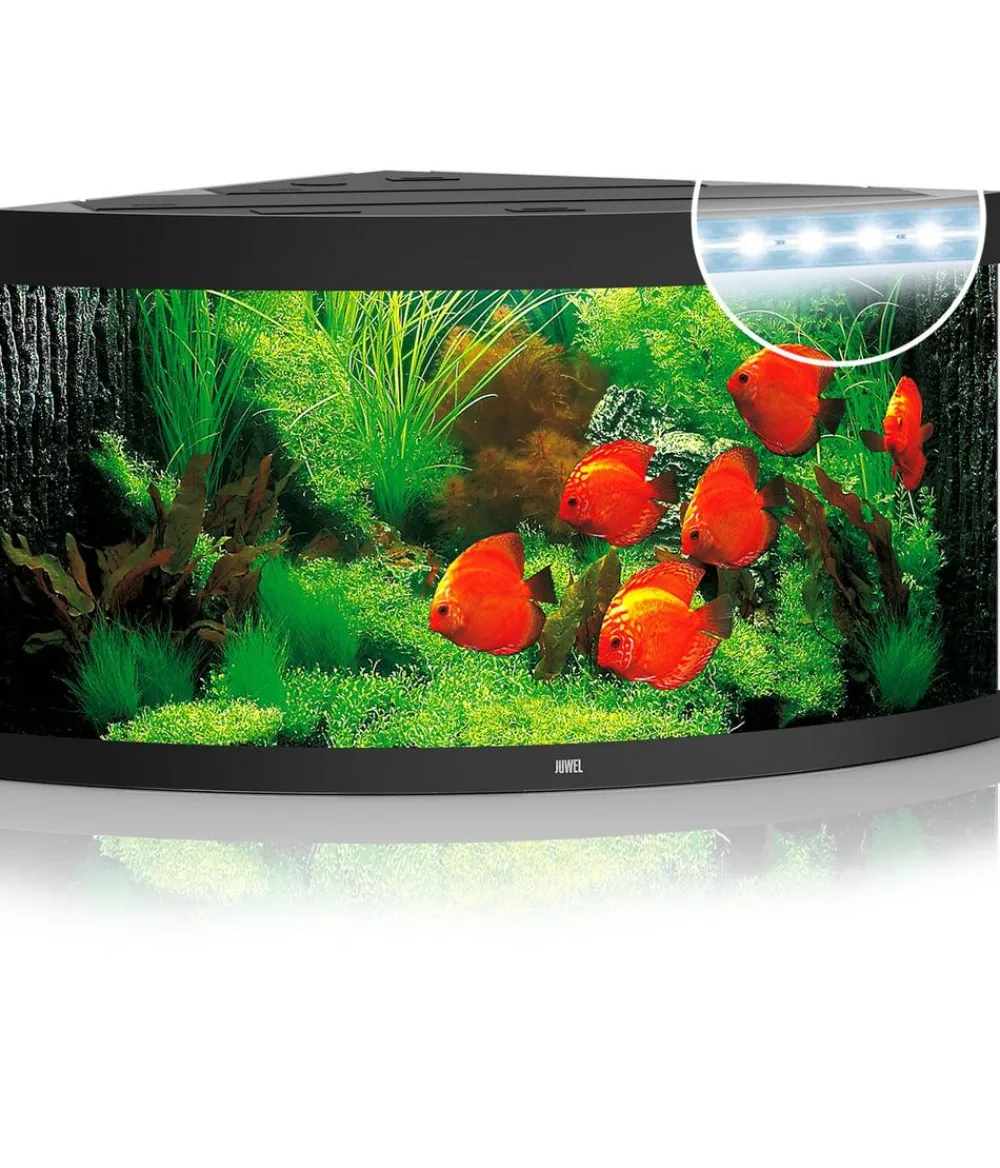 JUWEL® AQUARIUM Trigon 350 LED Schwarz