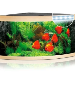 JUWEL® AQUARIUM Einzel Aquarien - Trigon 350 LED Hellbraun