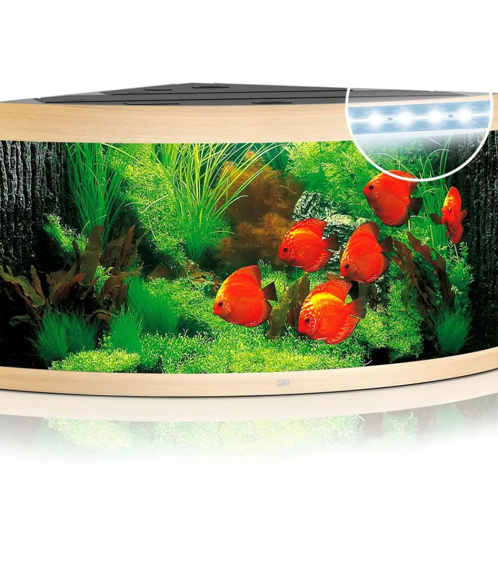 JUWEL® AQUARIUM Einzel Aquarien - Trigon 350 LED Hellbraun