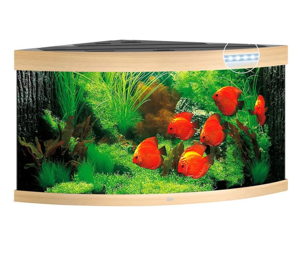JUWEL® AQUARIUM Einzel Aquarien - Trigon 350 LED Hellbraun
