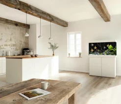 JUWEL® AQUARIUM Möbel > Unterschrank SBX Rio 290