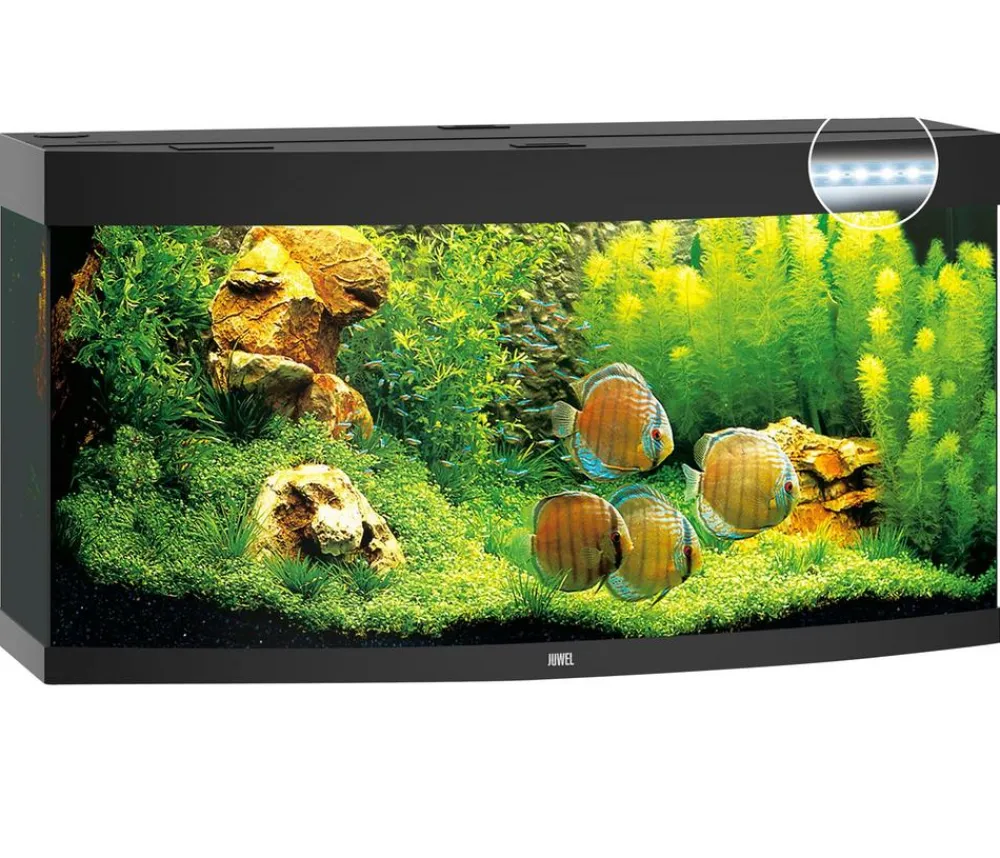 JUWEL® AQUARIUM Einzel Aquarien > Vision 260 LED